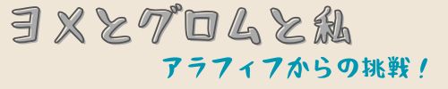 ヨメとグロムと私　〜アラフィフからの挑戦〜